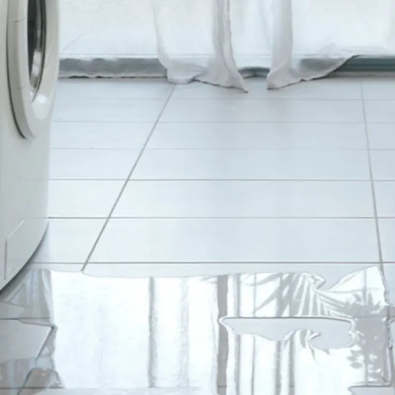 Appliance Leak Cleanup in Roselle, NJ